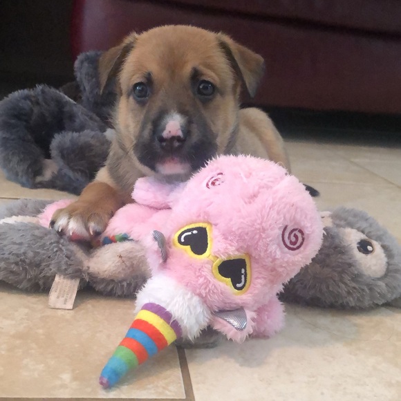 Meet your Posher, Alex - Picture 1 of 1